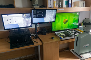 Laboratorium rejestracji ruchów twarzy (FMC)