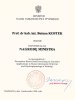 Dyplom dla prof. Kostek
